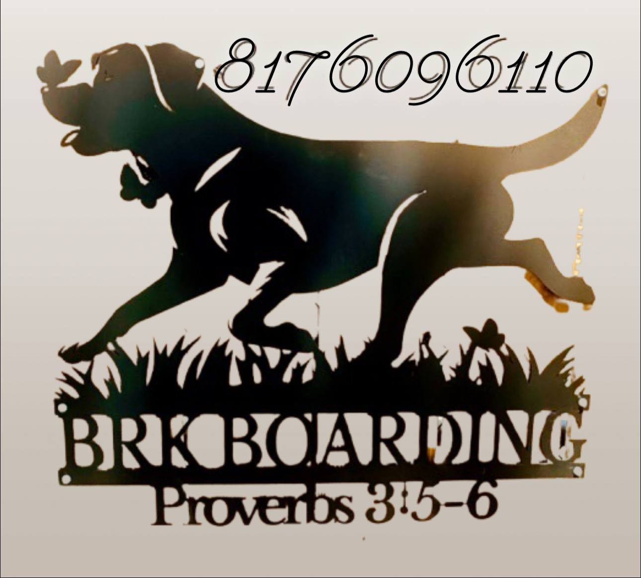 BRK Boarding logo