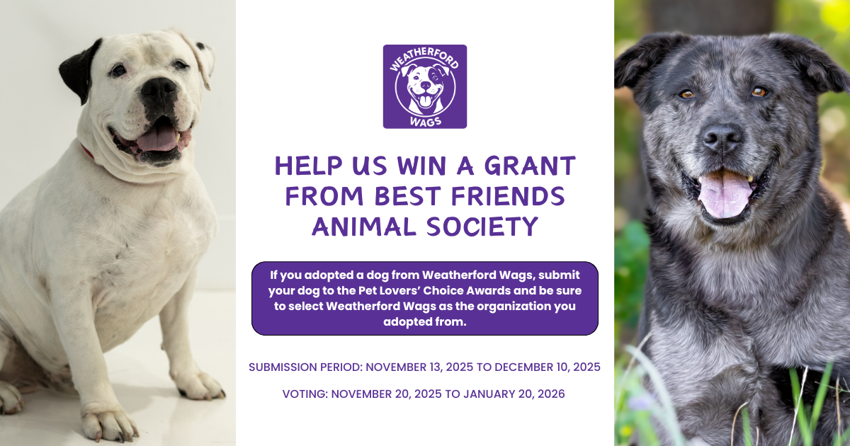 Help Weatherford Wags win a grant from Best Friends Animal Society.